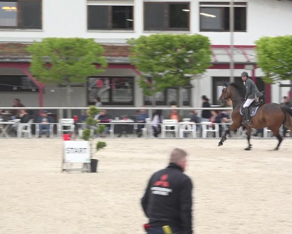 Reitturnier Achern 2019