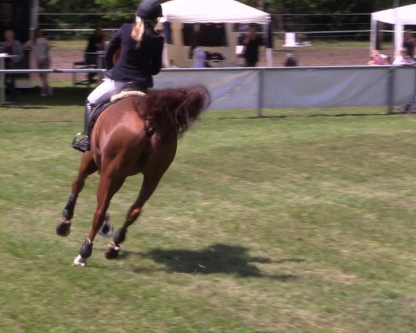 Reitturnier Stukenbrock 2019