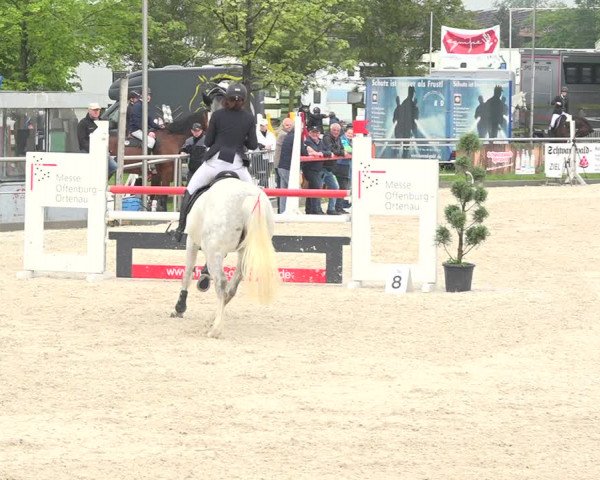 Reitturnier Achern 2019