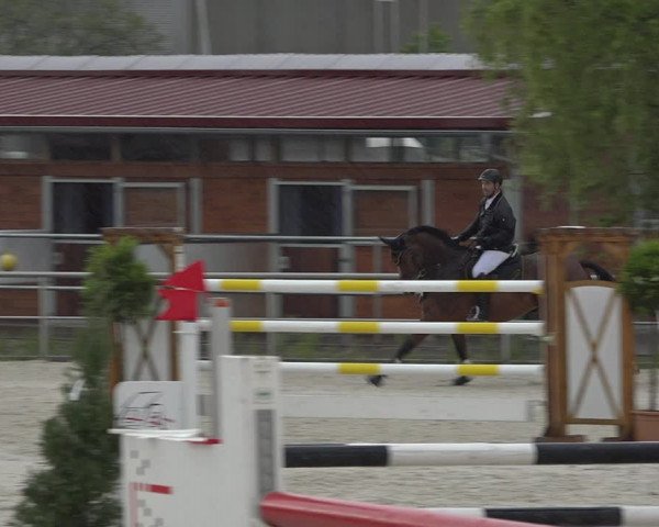 Reitturnier Achern 2019