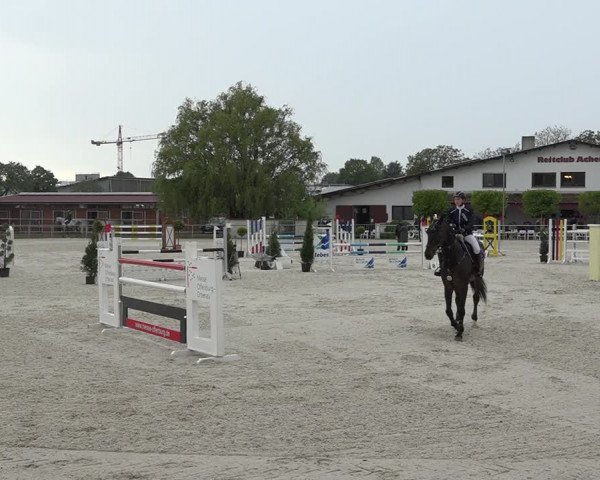Reitturnier Achern 2019