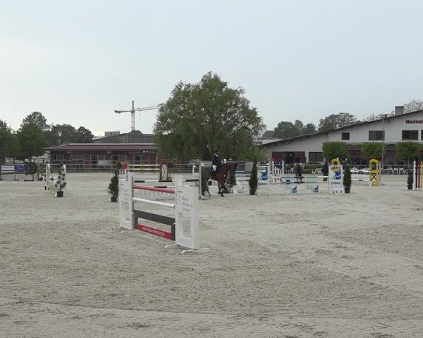 Reitturnier Achern 2019