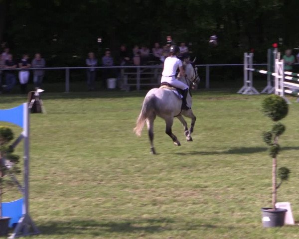Reitturnier Stukenbrock 2019