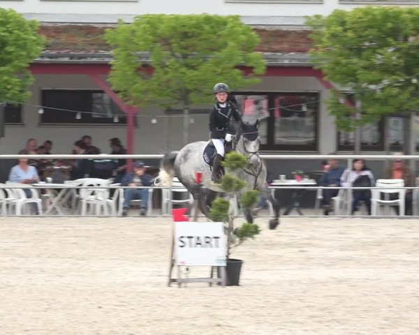 Reitturnier Achern 2019