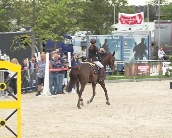 Reitturnier Achern 2019