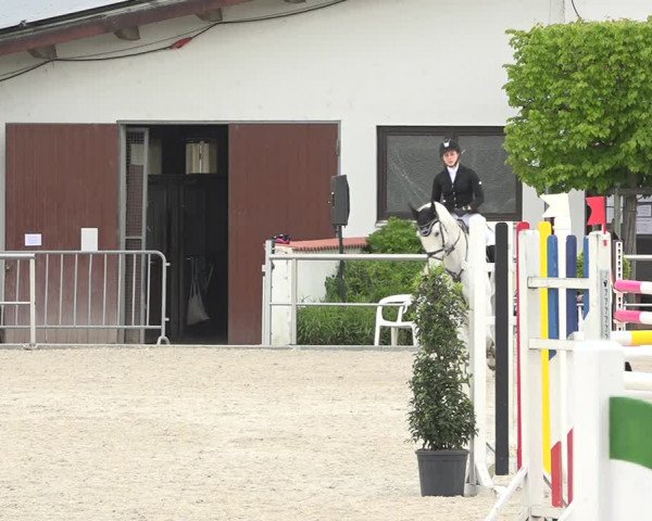 Reitturnier Achern 2019