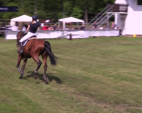 Reitturnier Stukenbrock 2019