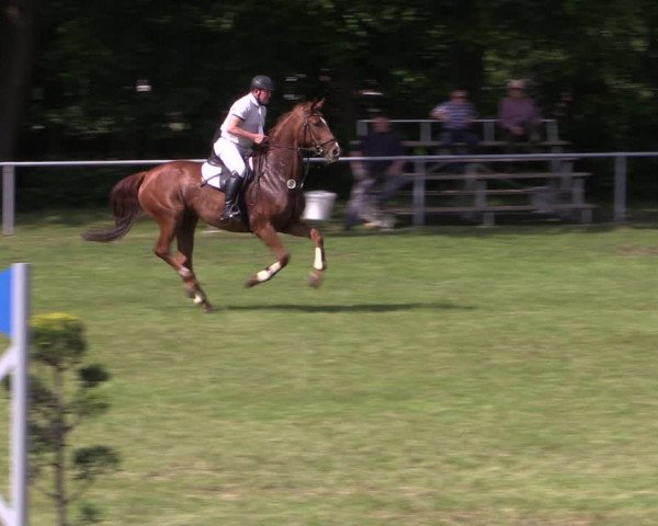 Reitturnier Stukenbrock 2019