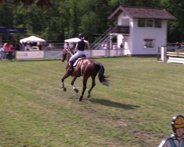 Reitturnier Stukenbrock 2019