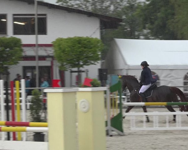 Reitturnier Achern 2019