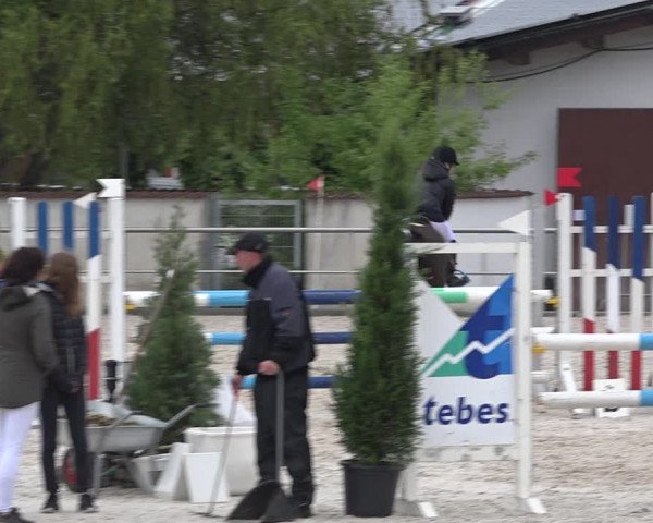 Reitturnier Achern 2019