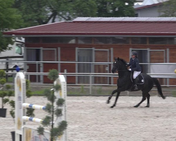 Reitturnier Achern 2019