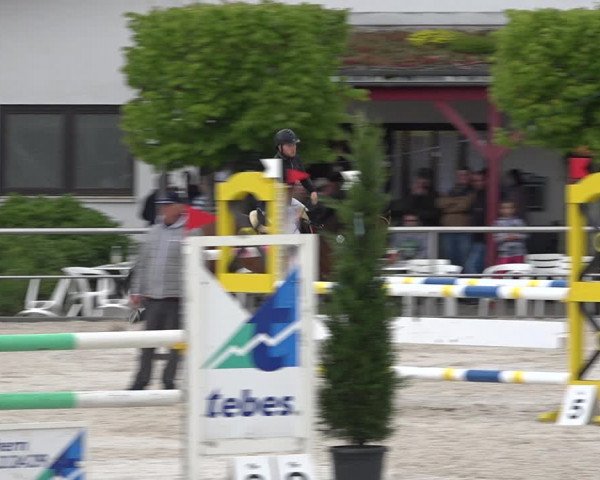 Reitturnier Achern 2019