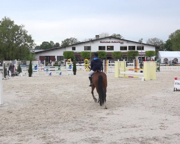 Reitturnier Achern 2019