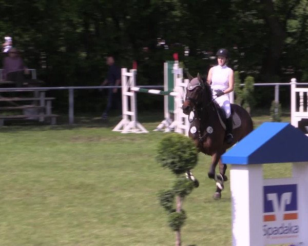 Reitturnier Stukenbrock 2019
