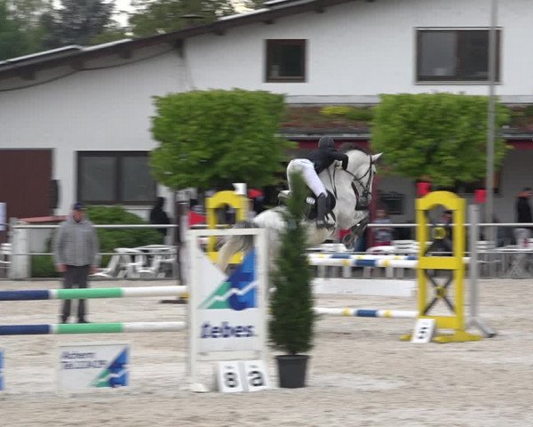 Reitturnier Achern 2019