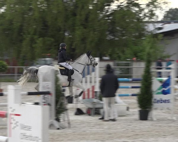 Reitturnier Achern 2019