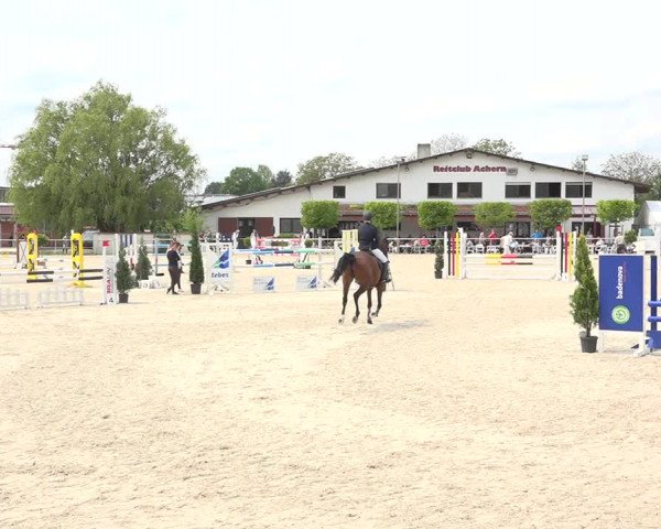 Reitturnier Achern 2019