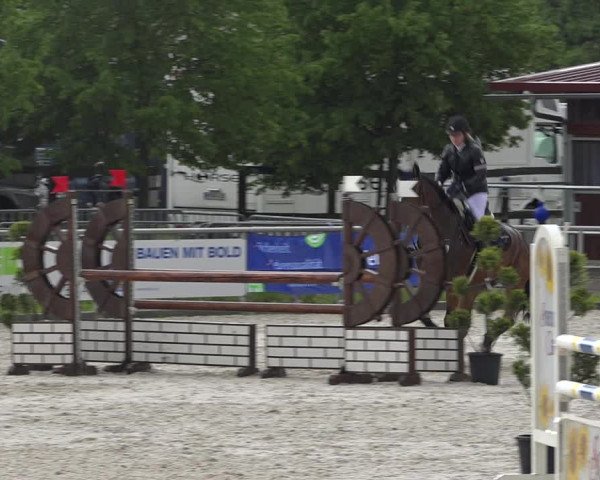 Reitturnier Achern 2019