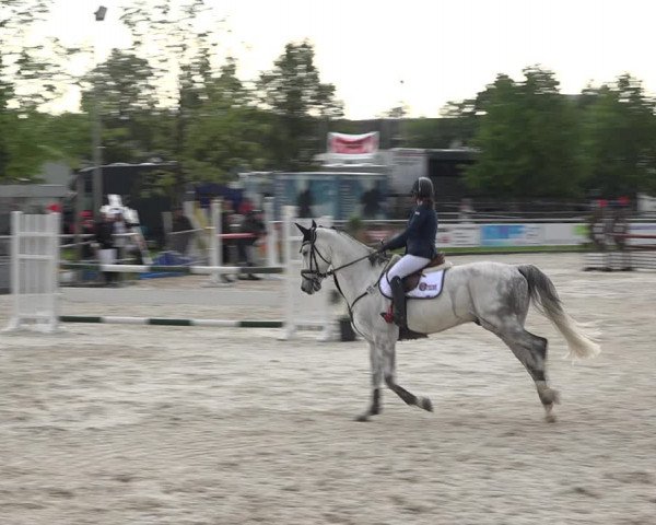 Reitturnier Achern 2019