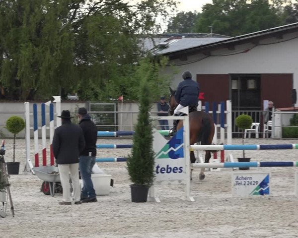 Reitturnier Achern 2019