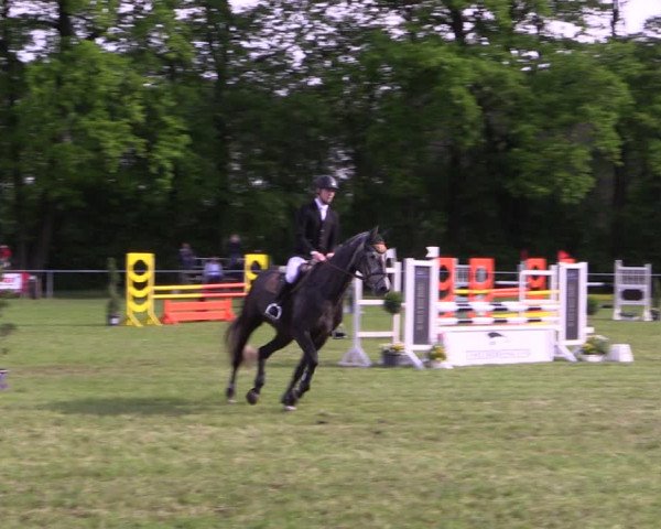Reitturnier Stukenbrock 2019