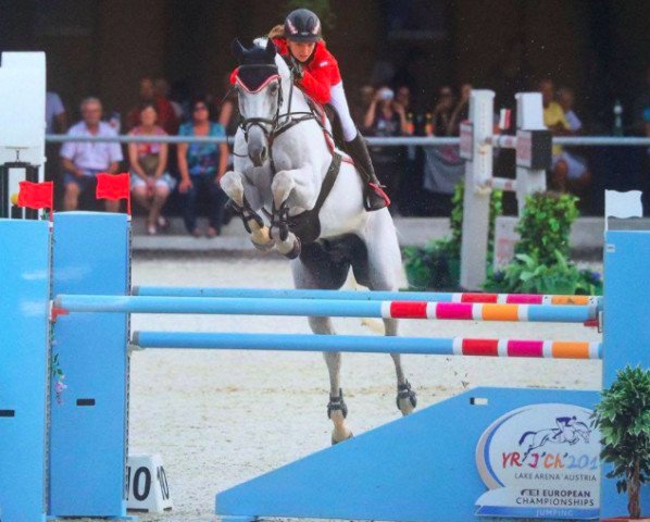 jumper Carrion de Los Condes (Austrian Warmblood, 2002, from Calmiro) jumper Carrion de Los Condes (Austrian Warmblood, 2002, from Calmiro)