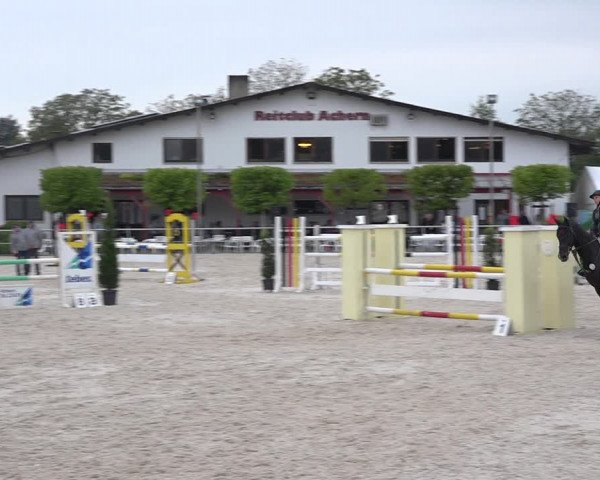 Reitturnier Achern 2019