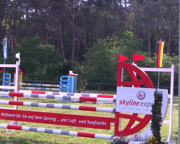 Reitturnier Stukenbrock 2019