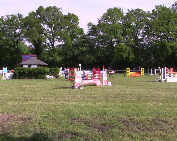 Reitturnier Stukenbrock 2019