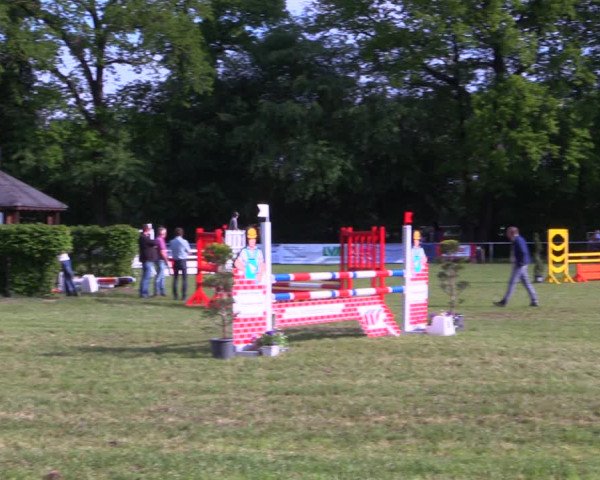 Reitturnier Stukenbrock 2019