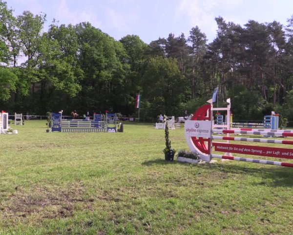 Reitturnier Stukenbrock 2019