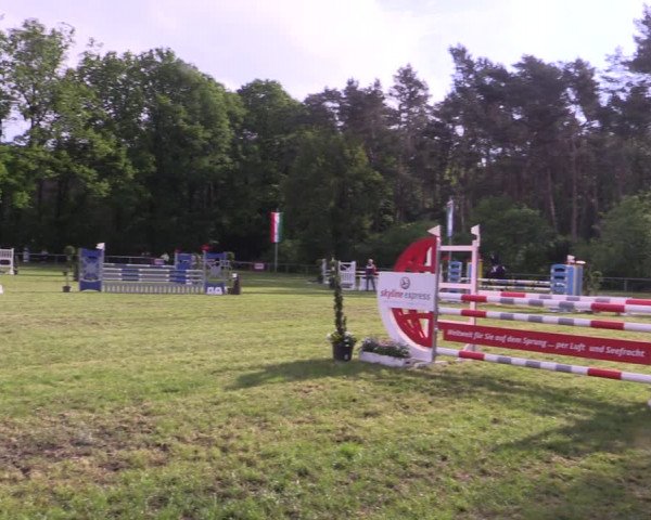 Reitturnier Stukenbrock 2019