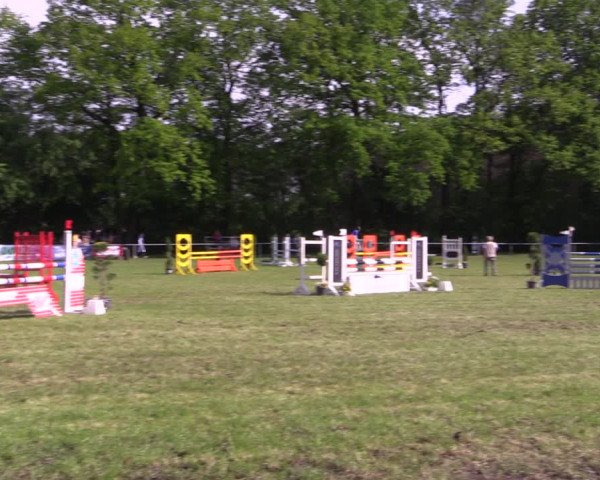 Reitturnier Stukenbrock 2019