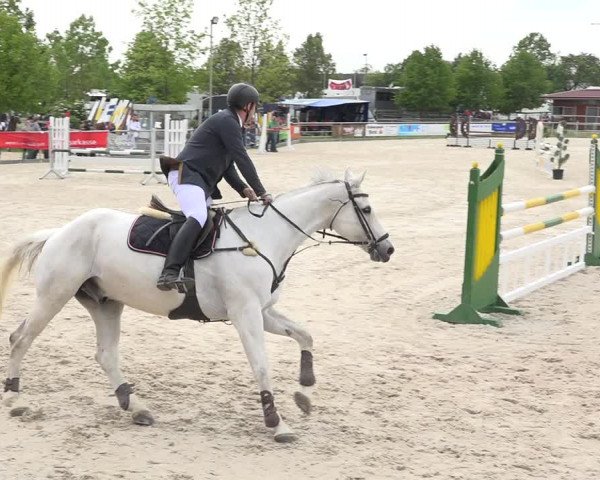 Reitturnier Achern 2019