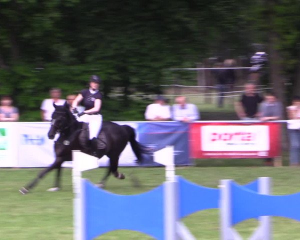 Reitturnier Stukenbrock 2019