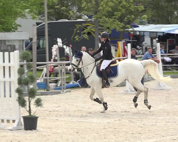 Reitturnier Achern 2019