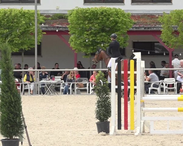 Reitturnier Achern 2019