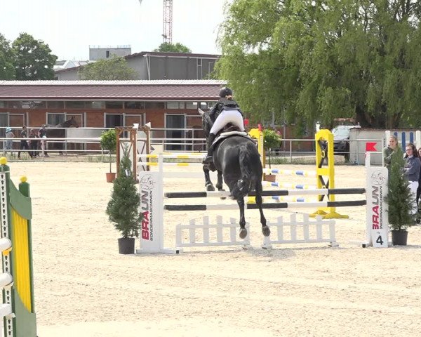 Reitturnier Achern 2019