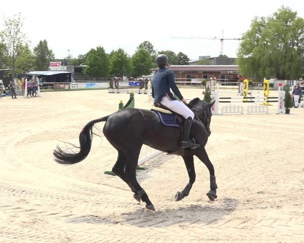 Reitturnier Achern 2019