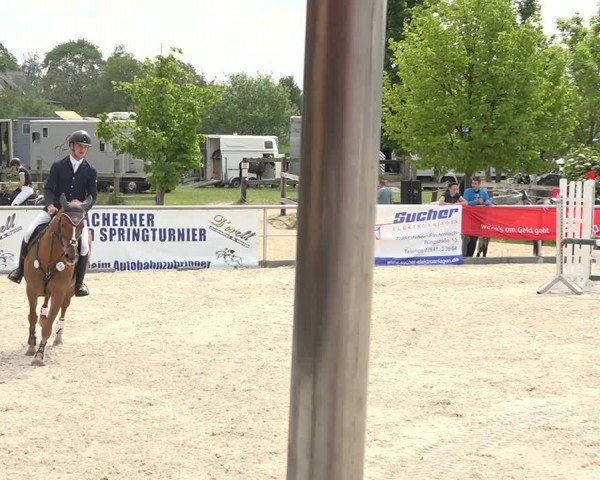 Reitturnier Achern 2019