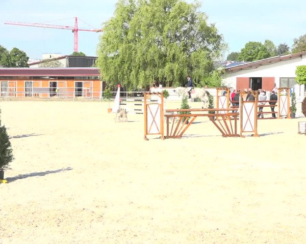Reitturnier Achern 2019