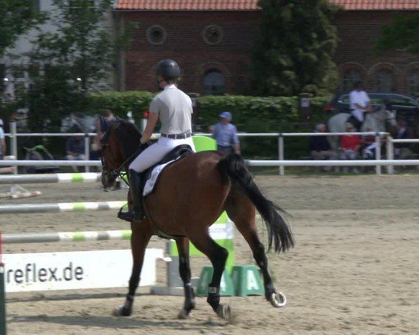 Reitturnier Ostenfelde-Vornholz 2019
