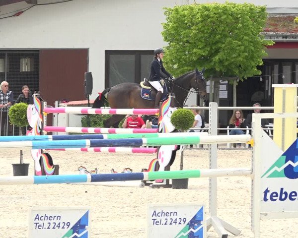Reitturnier Achern 2019