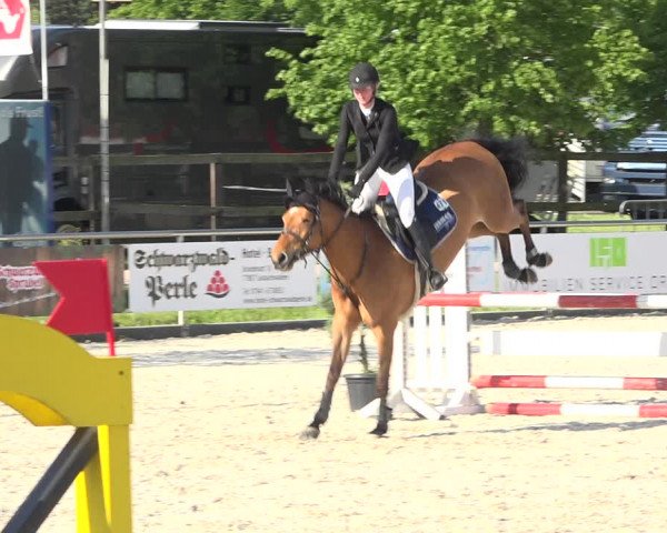 Reitturnier Achern 2019