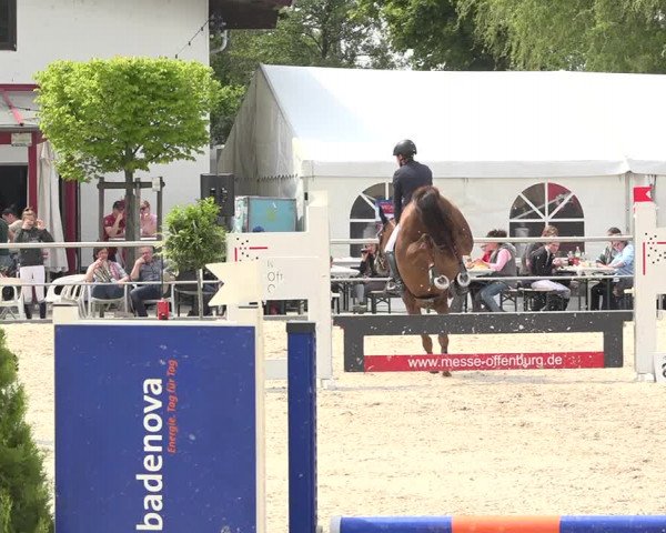 Reitturnier Achern 2019