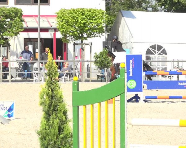 Reitturnier Achern 2019