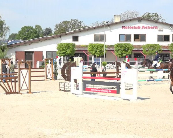 Reitturnier Achern 2019