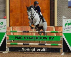jumper Danique (KWPN (Royal Dutch Sporthorse), 2008, from Corland)