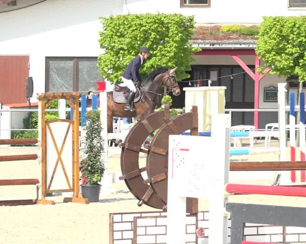 Reitturnier Achern 2019